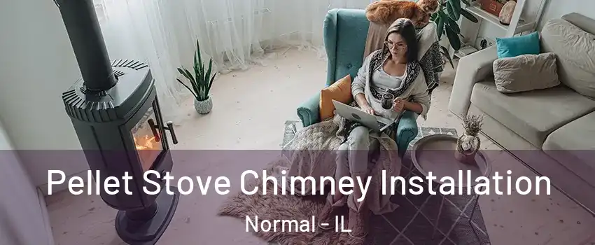  Pellet Stove Chimney Installation Normal - IL