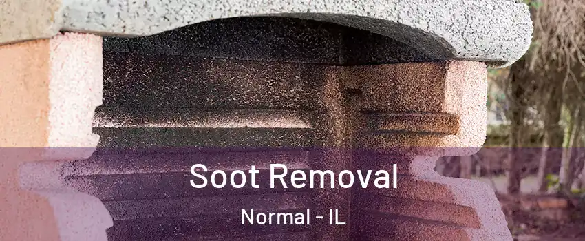  Soot Removal Normal - IL