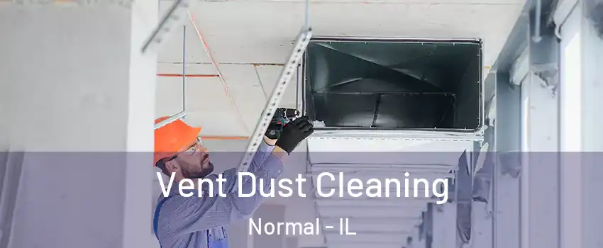  Vent Dust Cleaning Normal - IL