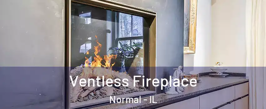  Ventless Fireplace Normal - IL