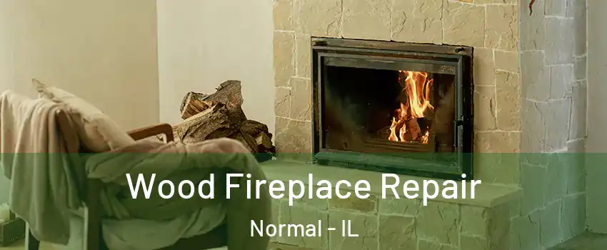  Wood Fireplace Repair Normal - IL