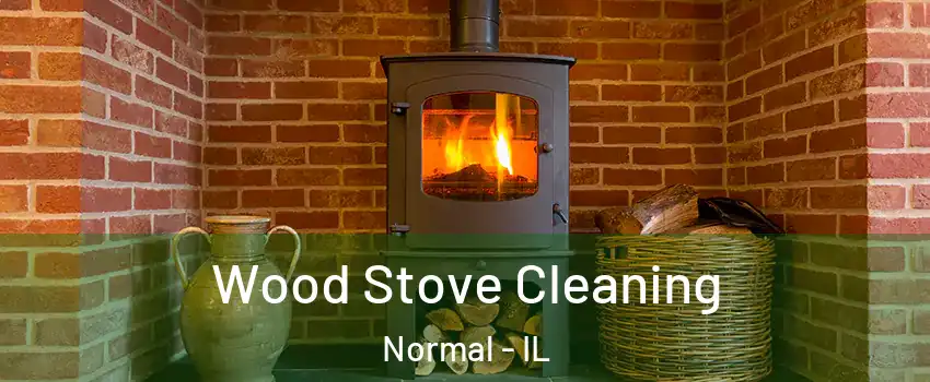  Wood Stove Cleaning Normal - IL